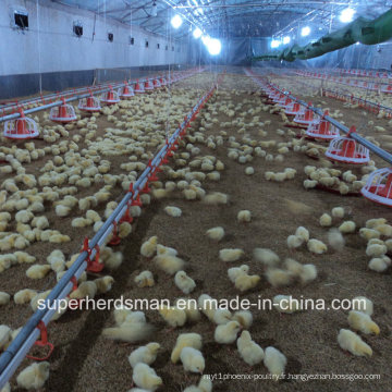 Machines et équipement de ferme avicole pour la production de poulets de chair